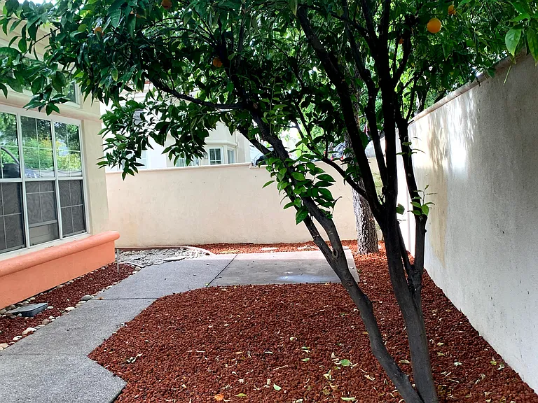2929 Moreno Ave — Photo 19