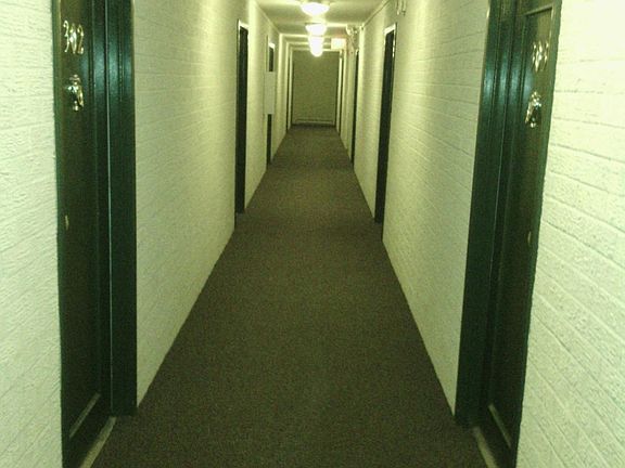 2nd image of 310 Lathrop Ave APT 311