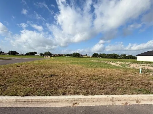 1537 Foxtail St, Donna, TX 78537