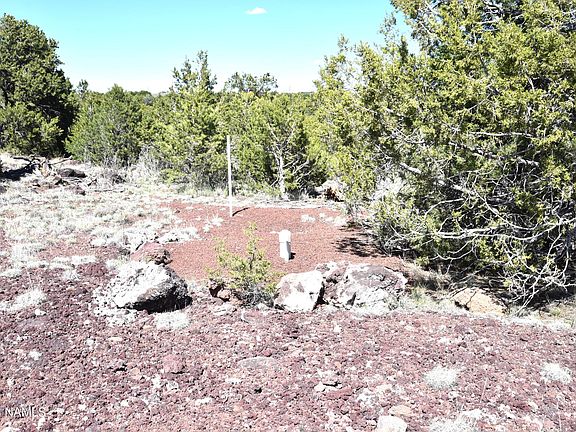 3rd image of 20203017 Griffin Rd