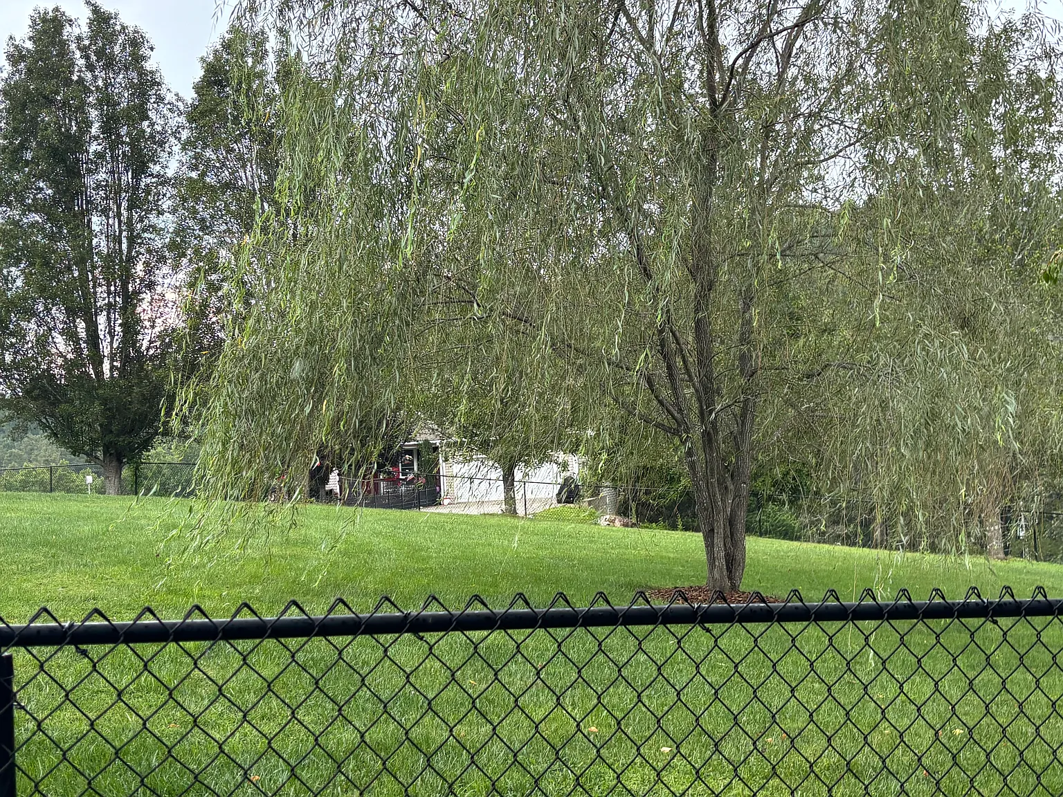 2 bed, $1,900 — Photo 2