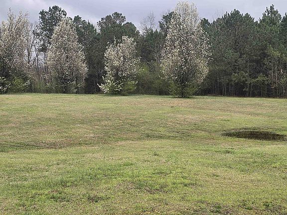 2nd image of 19020 State Highway 253