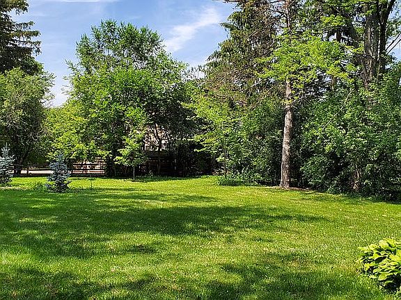 1/2 acre back yard
