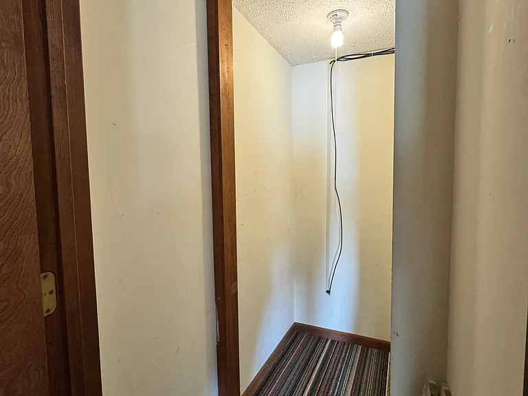 Downstairs storage closet