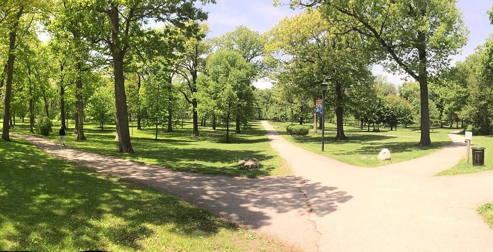 This is practically your backyard! Dogs owner's paradise