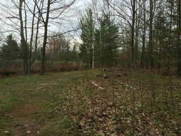 1 White Rd Parcel 1, Gladwin, MI 48624