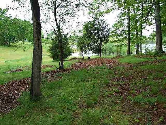 3rd image of 2771 Arrow Dr