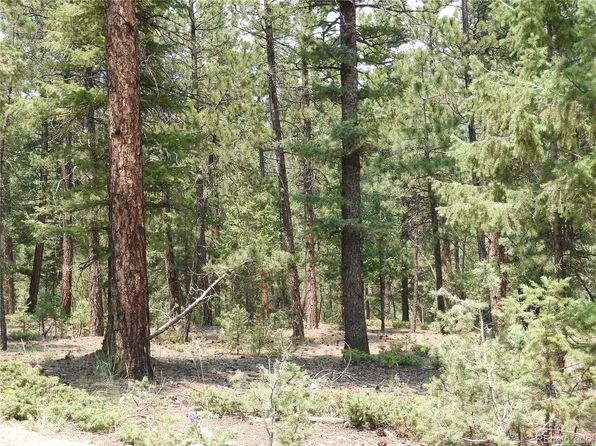 0 La Plata Lane, Pine, CO 80470
