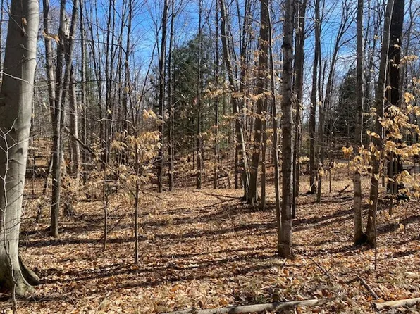 16361 Tower Ln, Mountain, WI 54149