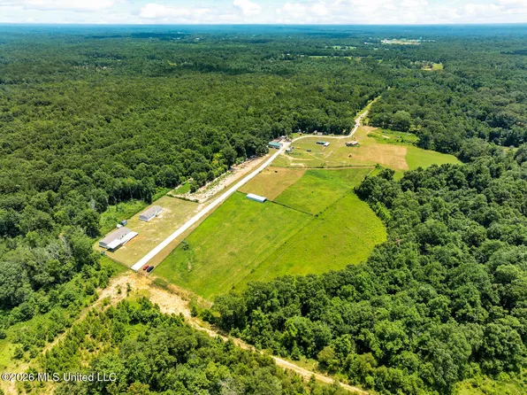 137 Sugar Creek Rd, Carriere, MS 39426