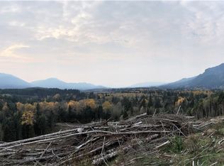 55909 Kernahan Rd E, Ashford, WA 98304