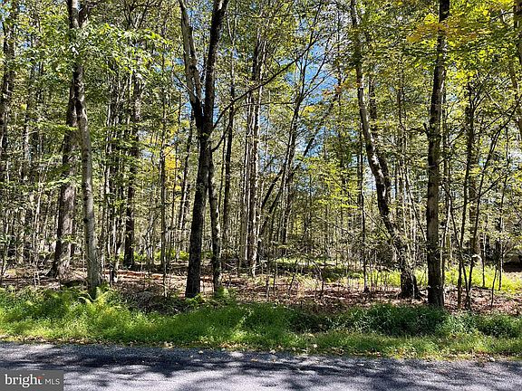 3rd image of 7-1903-19 Maxatawny Dr
