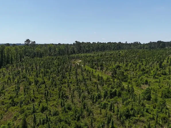 0 Deer Run Rd, Vidalia, GA 30474
