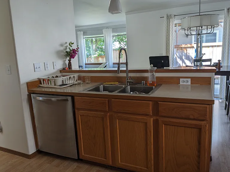 Dishwasher, kitchen sink