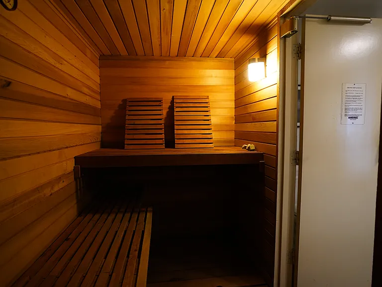Sauna, fits 5 comfortably