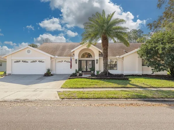 470 Hickorynut Ave, Oldsmar, FL 34677