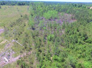 9836 SW County Road 392 Rd, Kinard, FL 32449