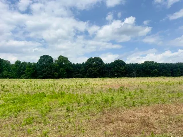 0 Seymour Rd Lot D, Grass Lake, MI 49240