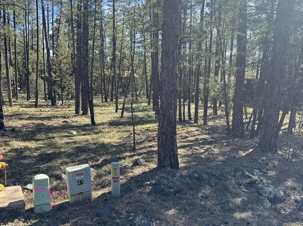 1049 N Lakeshore Dr, Lakeside, AZ 85929