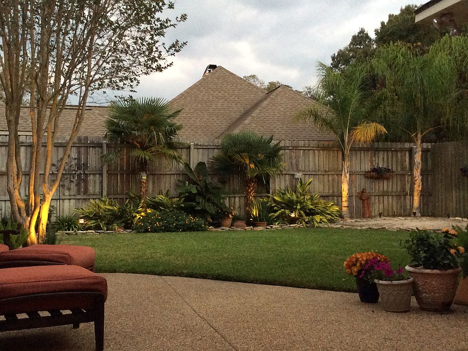 Beautiful patio and backyard