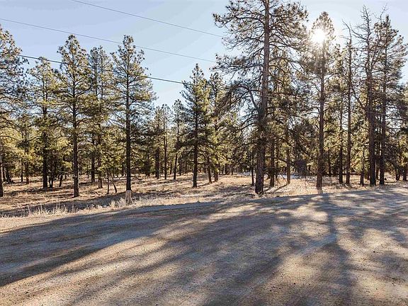 2nd image of 16 S Squaw Canyon Place