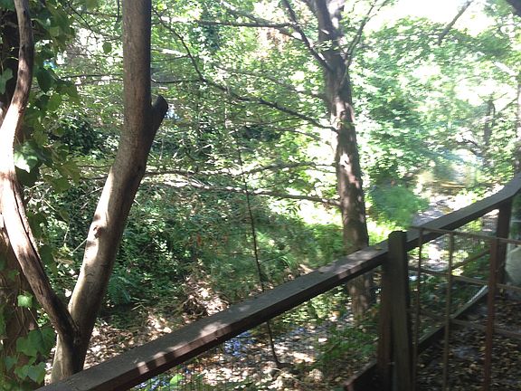 patio / San Anselmo creek