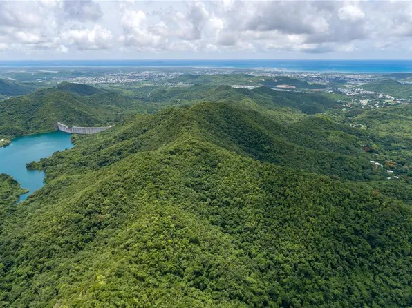 Carr #503, Mercedita, PR 00715