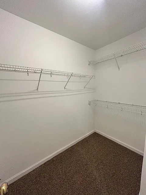 2113 Thornblade Drive - 2113 — Photo 3