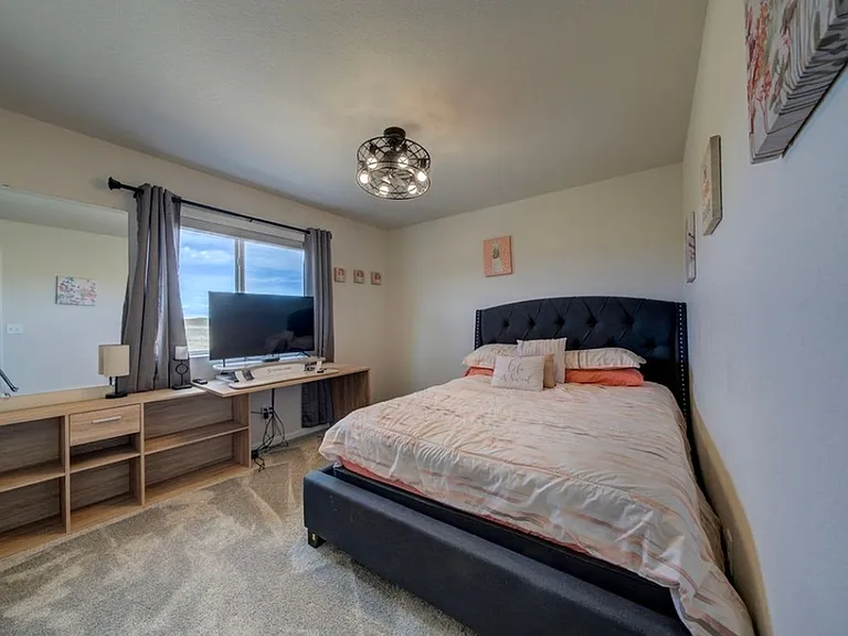8262 Buffalo Horn Dr — Photo 22