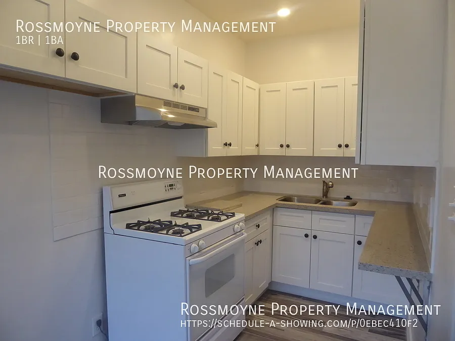 Renovated Unit 1 Bedroom 1 Bath — Photo 3