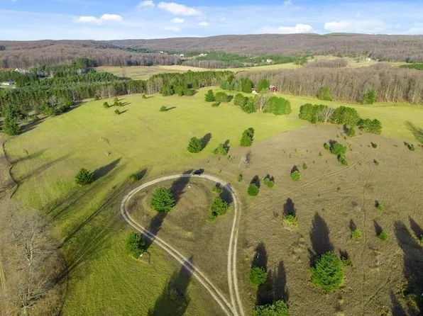 5710 Deer Run Trl, Harbor Springs, MI 49740