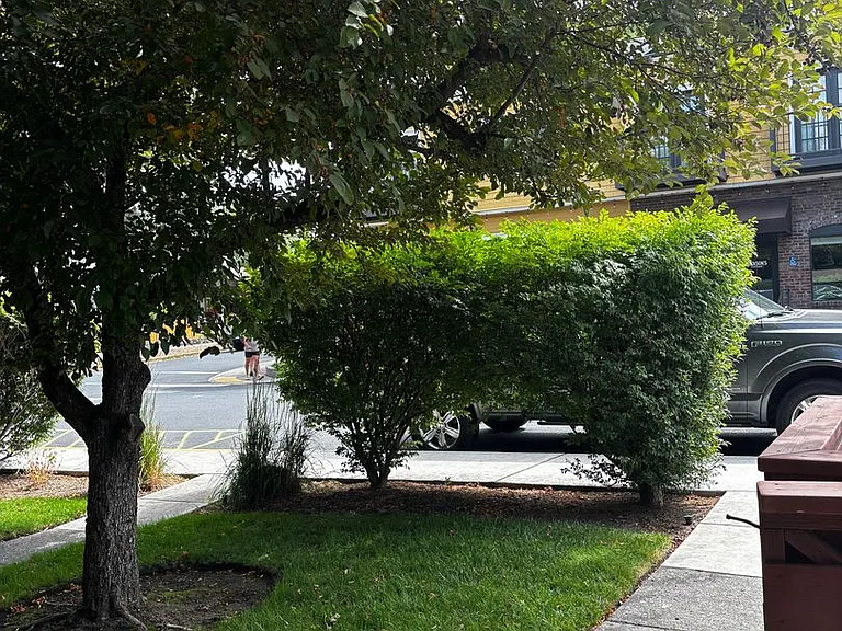139 NW Broadway St — Photo 6