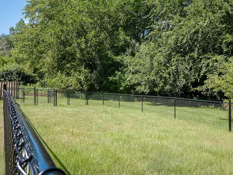 Dog Park