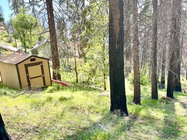 55162 Jungletown Ln, Big Creek, CA 93605