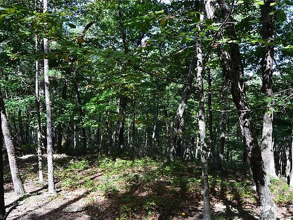 4th image of TRACT Hanging Rock Park Rd #D