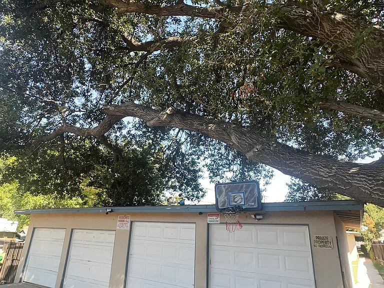 1202 S Belle Ave #C — Photo 7