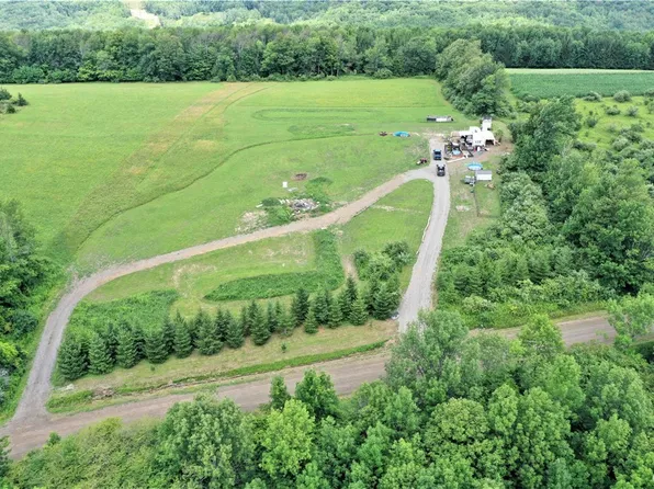 1049 Dryden Hill Rd, Greenwood, NY 14839