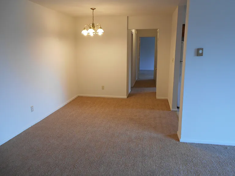1427 E Tremont St #8 — Photo 16