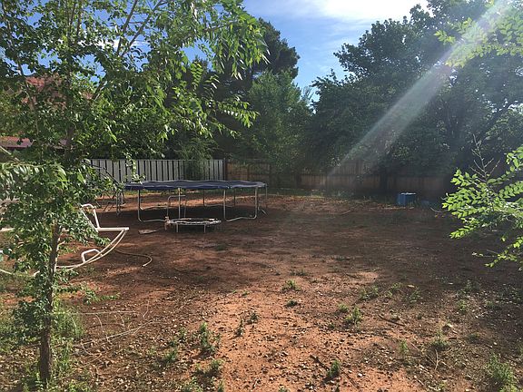 Back yard