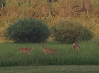 2485 S Armstrong Rd, Mikado, MI 48745