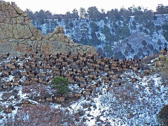 4th image of Tbd County Road 361