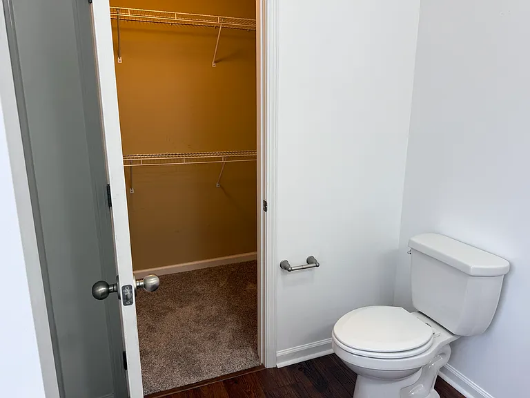 Master bathroom, looking into walk in closet