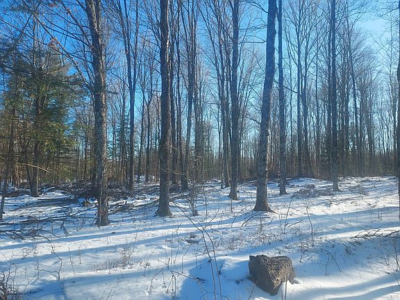 2nd image of 4 Log Lodge Rd #4