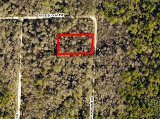 8009 Packingham Dr, Webster, FL 33597