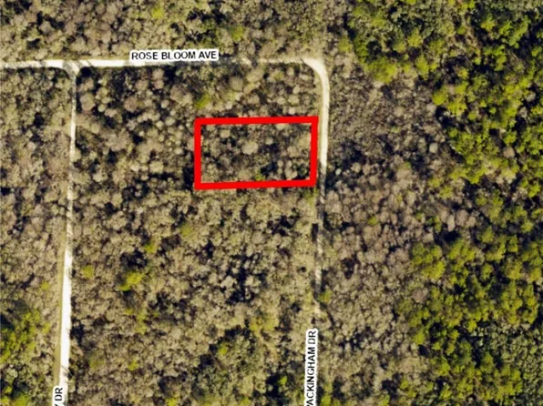 8009 Packingham Dr, Webster, FL 33597