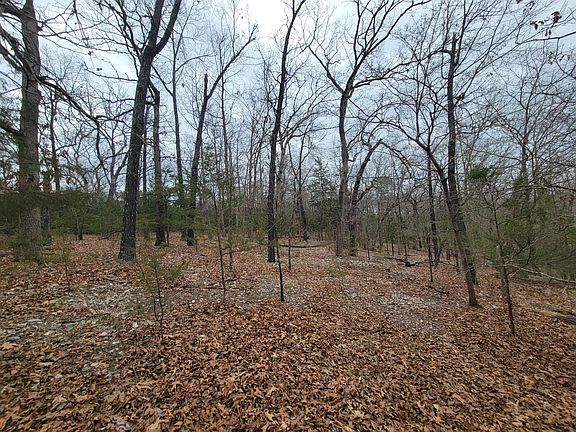 3rd image of 000 Lost Mine Road