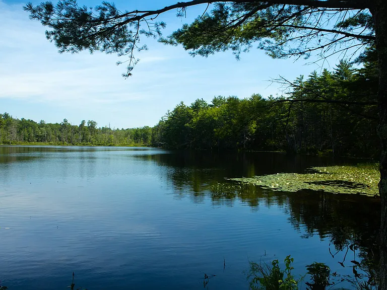 5 Anglers Rd — Photo 23