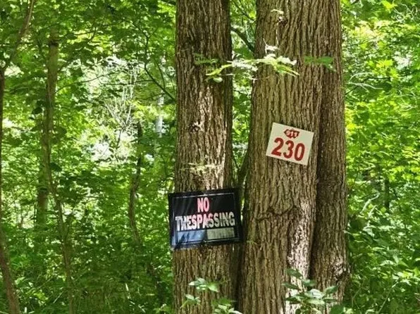 230 Joel M Austin Rd, Cairo, NY 12413