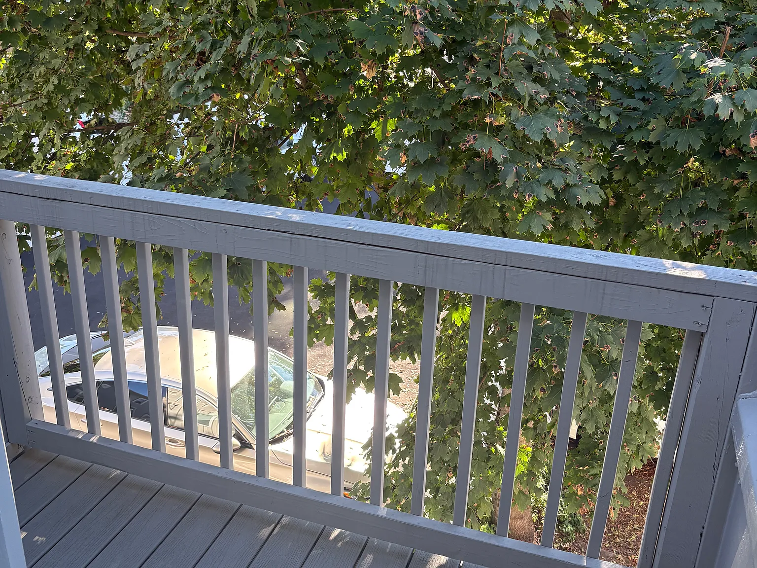 2 bed, 1080 sqft, $2,800 — Photo 3