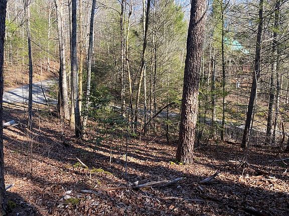3rd image of 15 Birds Creek Rd Lot 15